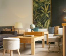 LPDVache (interieur) 25