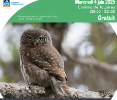 n2000-conference-2025-Chouette , des rapaces nocturnes