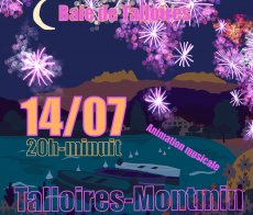 Feu d\